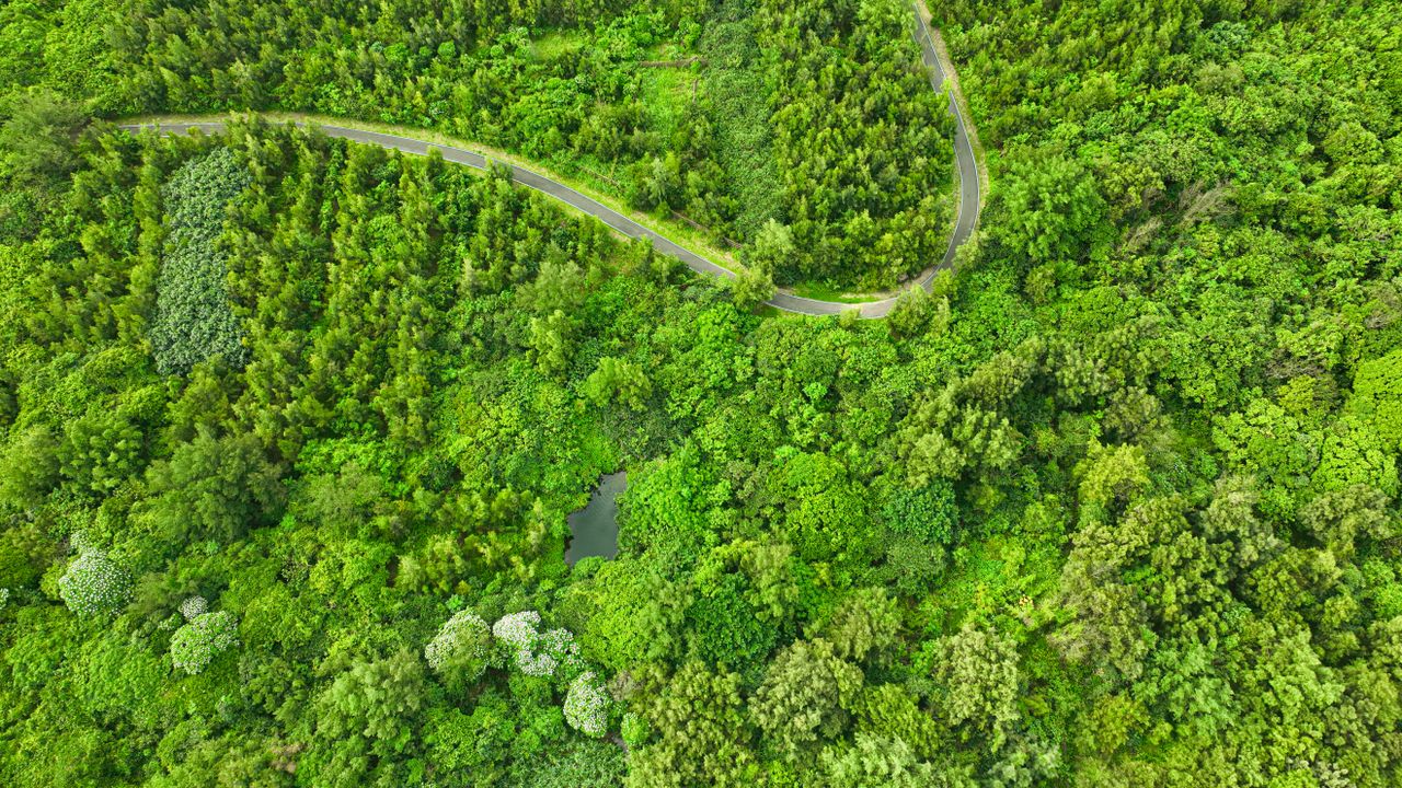 Aerial shot of a winding road through lush green forests in Sanzhi District, Taiwan.