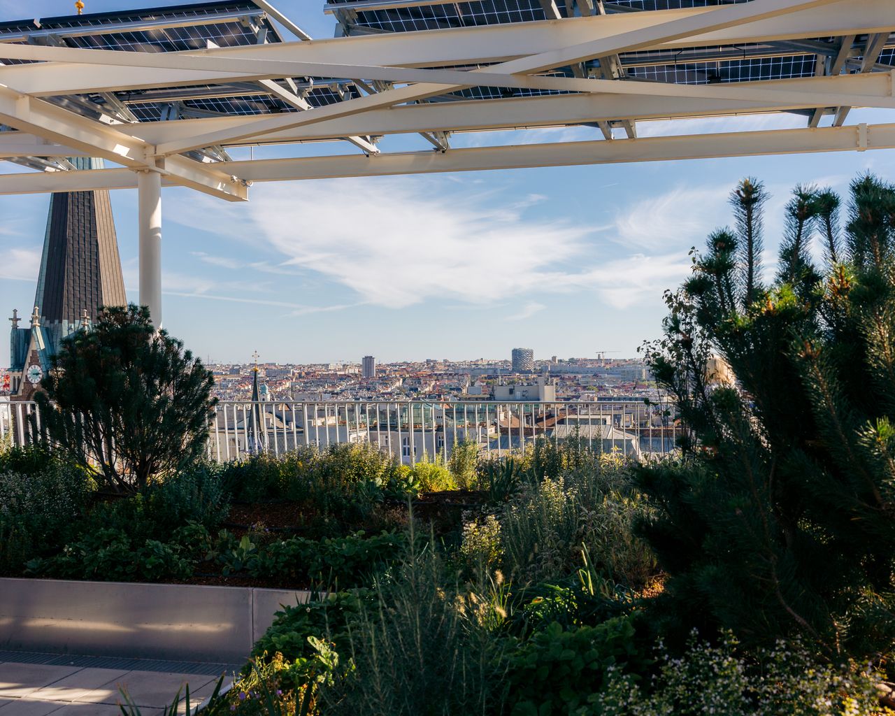 Lush rooftop garden under solar panels with Vienna's skyline in the background, showcasing urban sustainability.